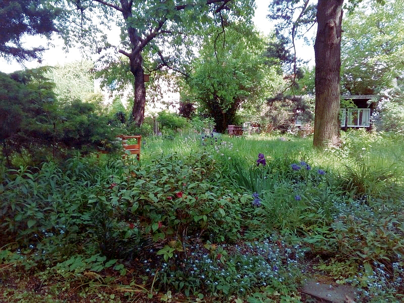 gartenhaus1